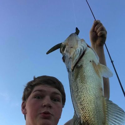 Big2239Big's profile picture. 