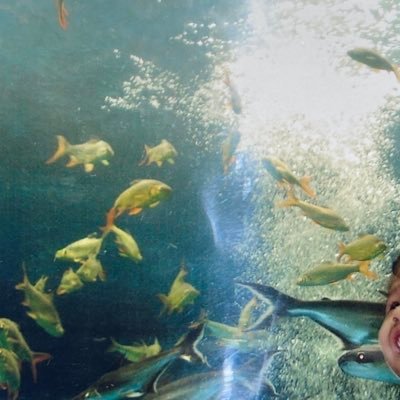 tempongoldfish's profile picture. 
