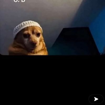 Steve9930995428's profile picture. Trying to build my account.                          follow and I will follow back