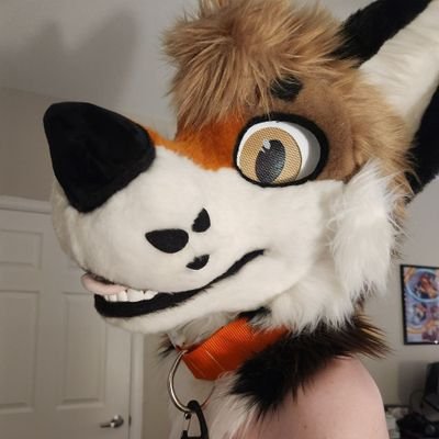 ⚠️🔞 Yip! | EN🇺🇲/DE🇩🇪/ES🇲🇽 | 22 | Fursuit- & Pansexual | Open | Main: @RyeTheYote | 🦊❤️ @Tyler_TheFoxAD