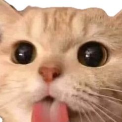 brandondosage's profile picture. If useless and worthless had a face, it would be mine.