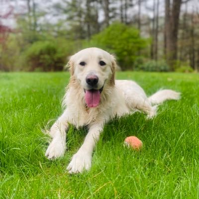 kevdemaria's profile picture. 