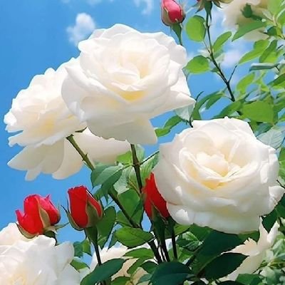 DavidWilso32679's profile picture. Forgiveness isn’t just the absence of anger. 
I think it’s also the presence of self-love, when you actually begin to value yourself.