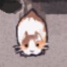Rchu222's profile picture. ENFP-T￤≠ME 櫻井ももちゃん￤げっ歯類/モルモット￤マダミス￤ハンドメイド￤お酒 #モルモットのくちびる大好きクラブ #ムキムキのハムちゃん
