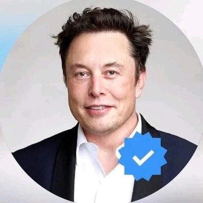 Elonmusk_news13's profile picture. 