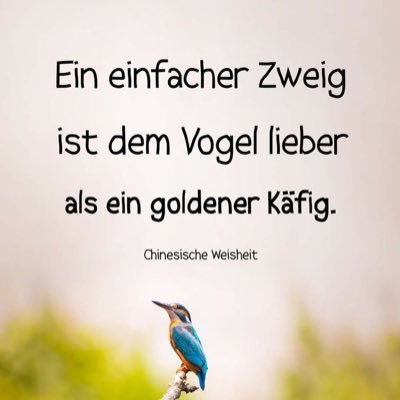 HP1904S's profile picture. 💙 Blau und Weiss ein Leben lang!!! 💙 Auf Kohle geboren, ein echter POTTLER ! Schalke 04 ⚽, DEG 🏒, Barcelona ⚽, Green Bay Packers 🏈