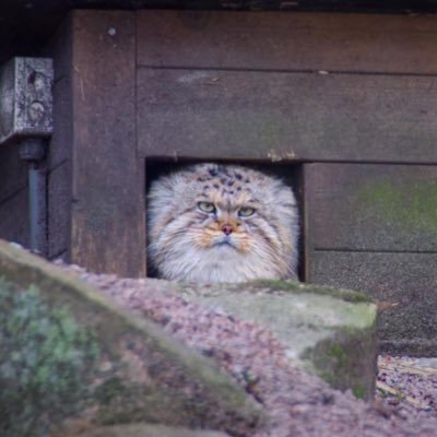 marionvmartin2k's profile picture. do what u love