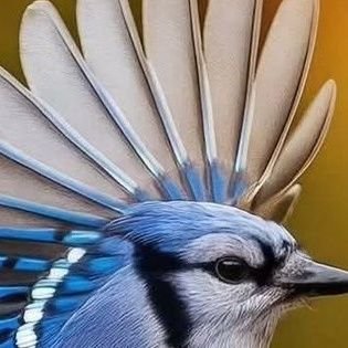 KanarekKirby's profile picture. sometimes im no one and sometimes im everyone.