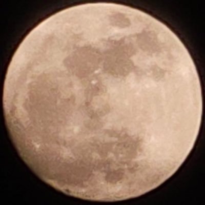 n0520fia's profile picture. 