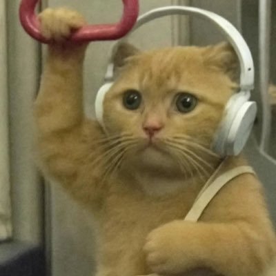 ajosechelsea's profile picture. 