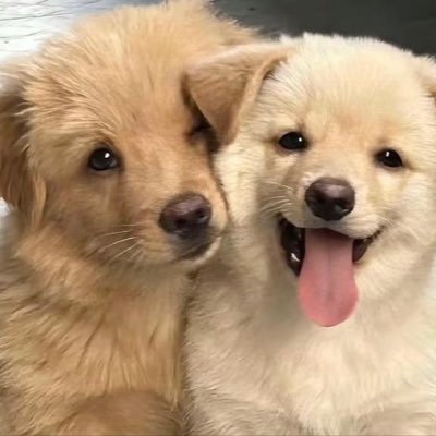 jingle__bellss's profile picture. i love u just the way u are —