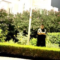 Ahmed Rasheed (@lss_shatee) 's Twitter Profile