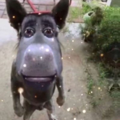 Pirata1716601's profile picture. 