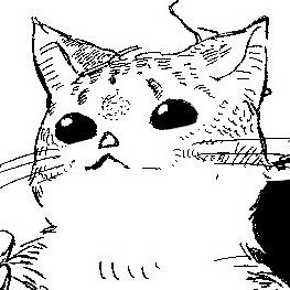 Aめさんのプロフィール画像