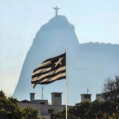 alvinegro2024's profile picture.