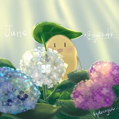 そいやっさーさんのプロフィール画像