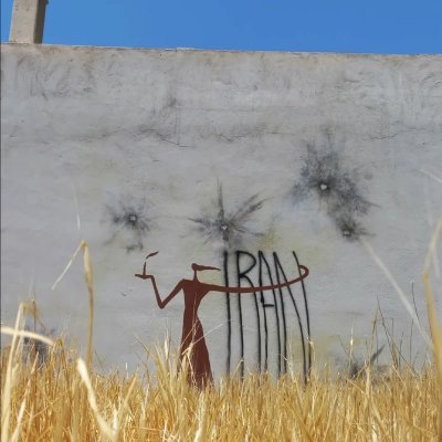 Narges_Dabbagh's profile picture. 