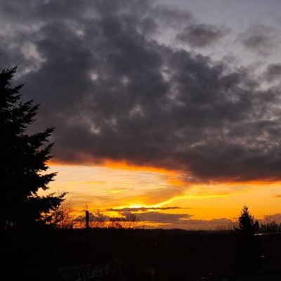 davidtruthworth's profile picture. سابقاً پیروزی را چیزی می‌پنداشتند که دارای بال است؛ ولی نه، پیروزی پاهایی دارد سنگین و خراشیده و پوسیده از خون و غبار.