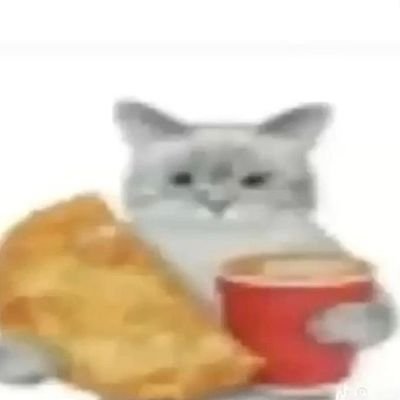 tortuguitapedro's profile picture. não é bom, mas também não é ruim :)