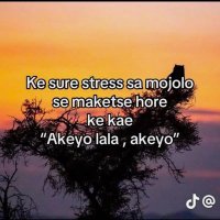 Nox_bae_gal (@nox_bae_gal) 's Twitter Profile Photo Nox_bae_gal (@nox_bae_gal) 's Twitter Profile Photo