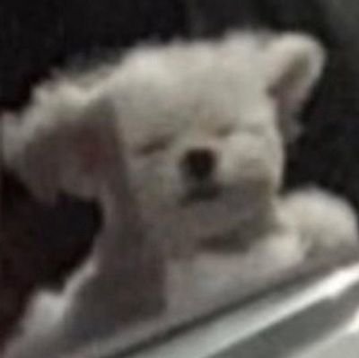 ruangpribadicuy's profile picture. 