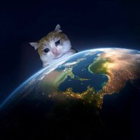 narcol3ptik insomniac (@narcol3ptik) 's Twitter Profile