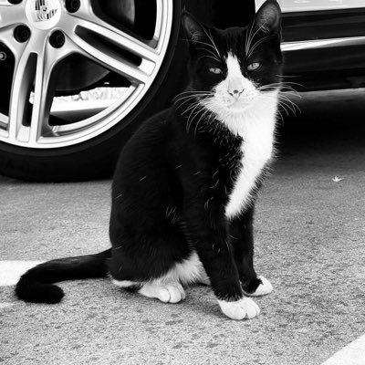 TC17620's profile picture. 谢谢你的关注