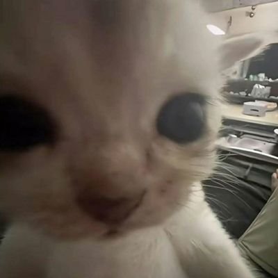Kosomさんのプロフィール画像