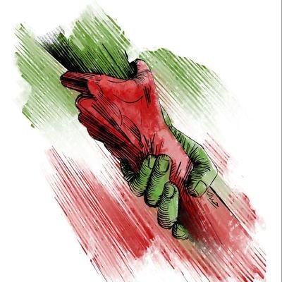 BirdyHooo's profile picture. 