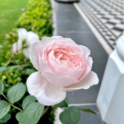 日本のマナー文化が好きです。🙇♀️
私は日本语を勉强しています。anime🇯🇵
好きです。❤️
闲の时ゴルufが好き、⛳️🏌🏻♀️生け花。💐
私に広告、ポルノ、勧誘を送らないでください、友達を作ることができます🙅🏻♀️💢