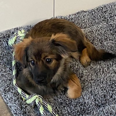 Tierrfreund's profile picture. 