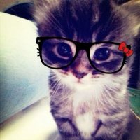 nyanu (@nyannyan4l) 's Twitter Profile