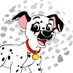 Leon Dalmatian (@dalmatianleon_) Twitter profile photo Leon Dalmatian (@dalmatianleon_) Twitter profile photo