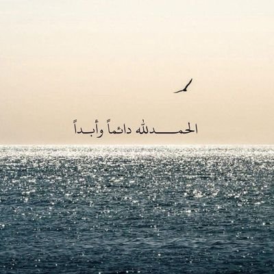 Naif_Alotaibi56's profile picture. 