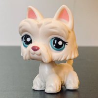 marinara (@snugglyspaniel) 's Twitter Profile