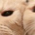 . (@spfjunky) Twitter profile photo . (@spfjunky) Twitter profile photo