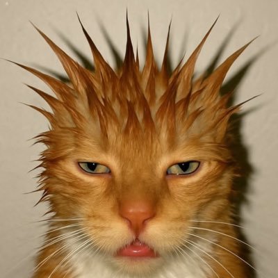 jeboski01's profile picture. PRODUCER🎥