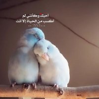 𓂀 H Y M A N 𓂀هيمان (@sifghkyuiop) 's Twitter Profile