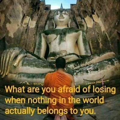 Dee_design8's profile picture. 🪽