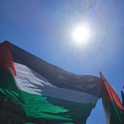 PugMoomin60884's profile picture. They block me rather than finish chatting. 
Collecting criminality of the white nativist lot.