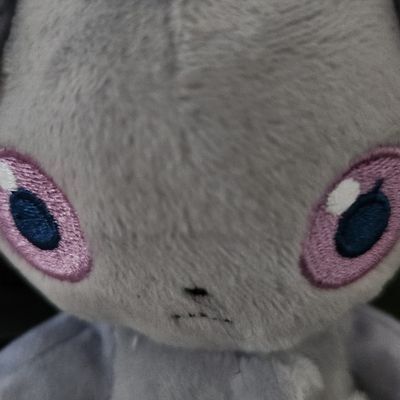 StrayCatBoiさんのプロフィール画像