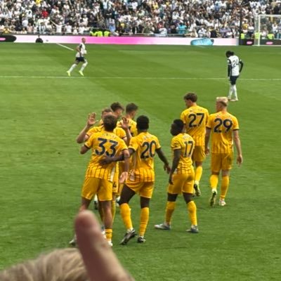 It’s easier to fool someone than convince them they’ve been fooled #bhafc