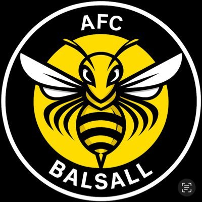 AFC Balsall Profile