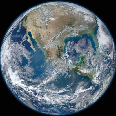 Anima44444's profile picture. 