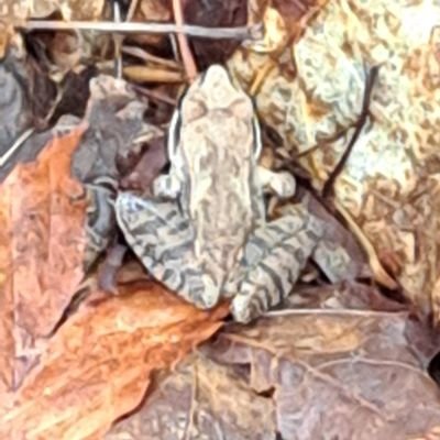 KyleWar40464521's profile picture. 