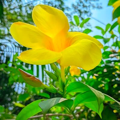 Borsha30722's profile picture. Hi