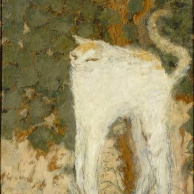 IlteaIl's profile picture. 