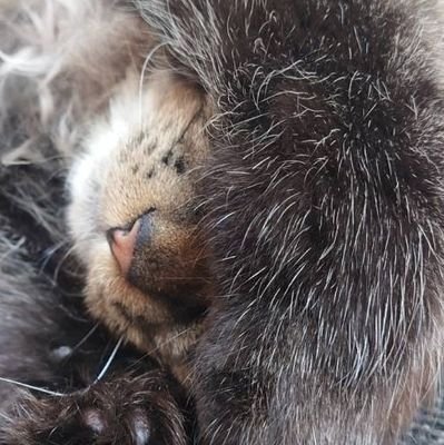 wQ7LSGQWWz71931's profile picture. 好きなYouTube、STPR、あんらば、カラフルピーチ