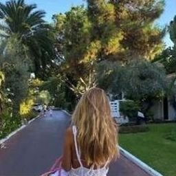 Volea0583050's profile picture. 