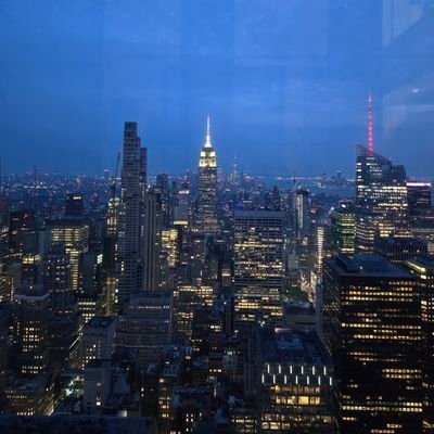 MazSeyed's profile picture. 